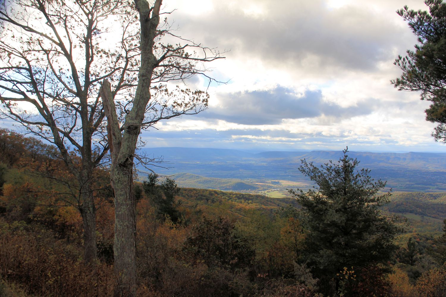 Scenic Drive Over Looks 